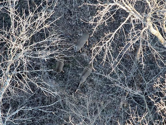 4th image of SW State Rte N