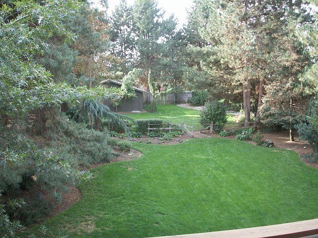 Back yard