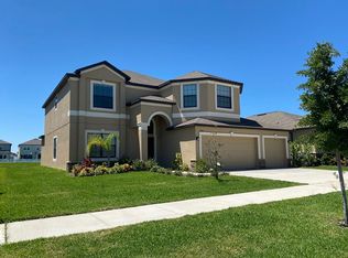 13419 White Sapphire Rd, Riverview, FL 33579
