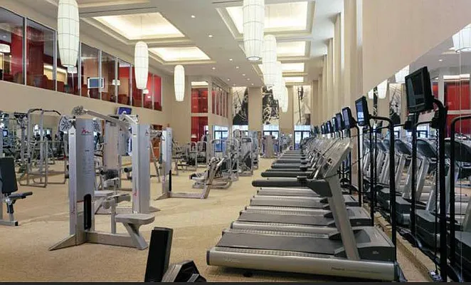 Rented by Level Group | media 8