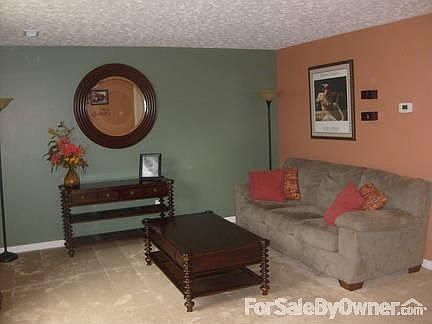 Living Room : From the front door.