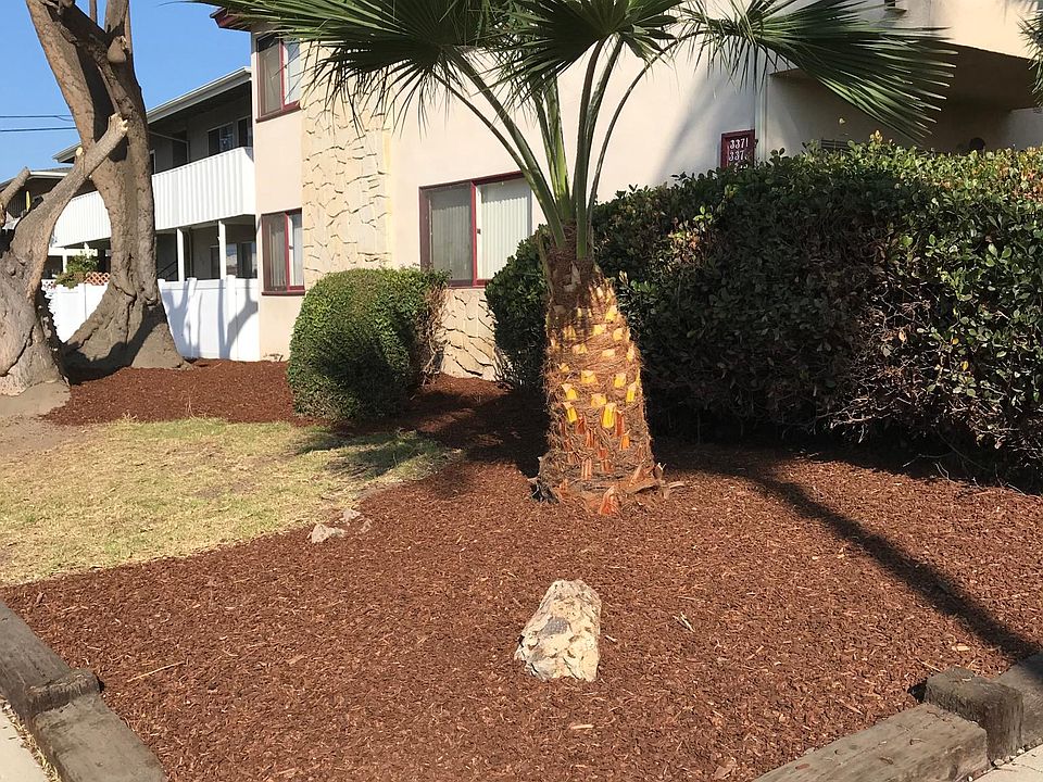 1st image of 3395 Rexford St #3395
