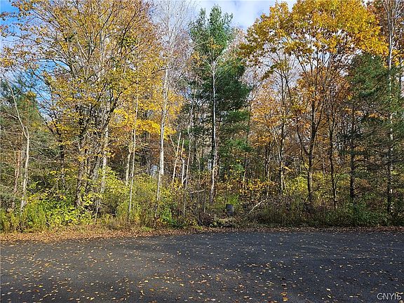 2nd image of Birch Ln
