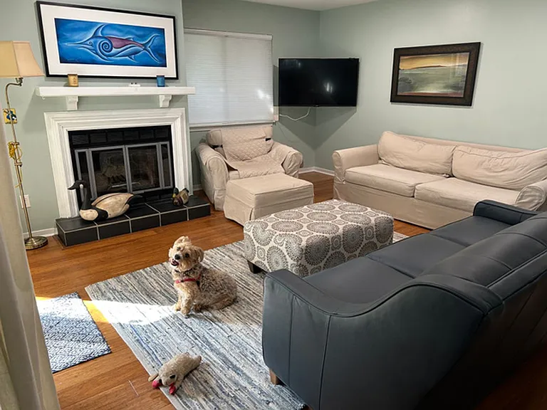 1119 Hidden Cove Dr — Photo 3