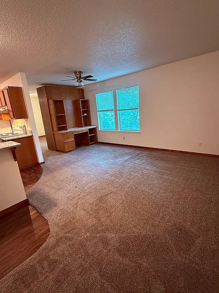 Studio, $900 — Photo 4