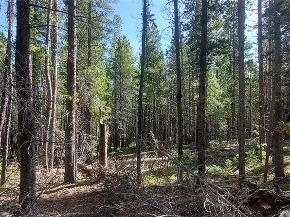 Lot 3031 Bolwell Lane, Fort Garland, CO 81133