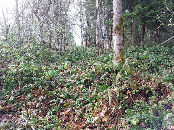 4th image of 25125 149th St E