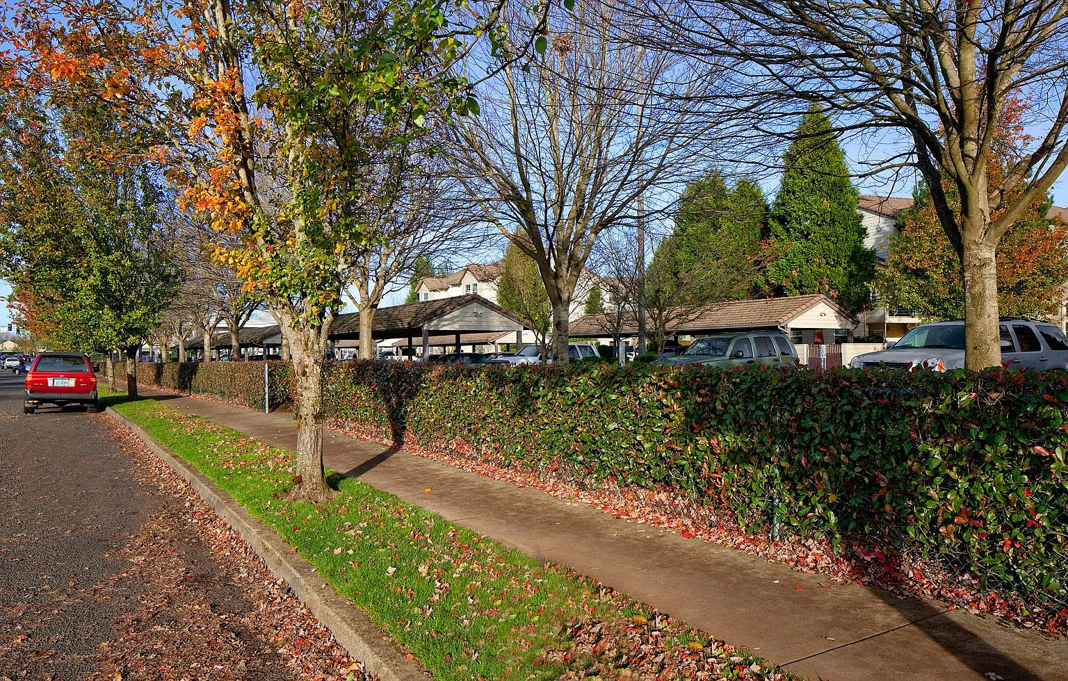 Rivercrest — Photo 1