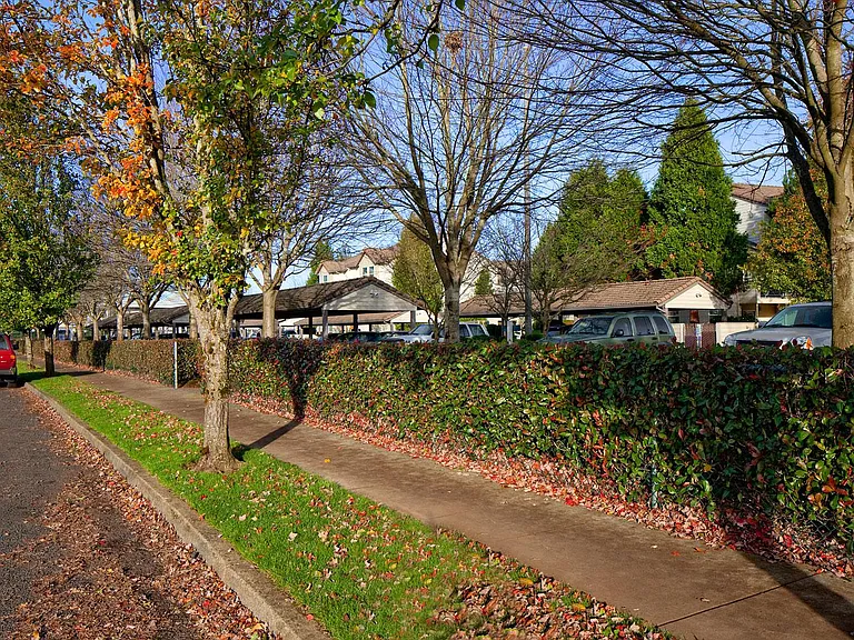 Rivercrest — Photo 1