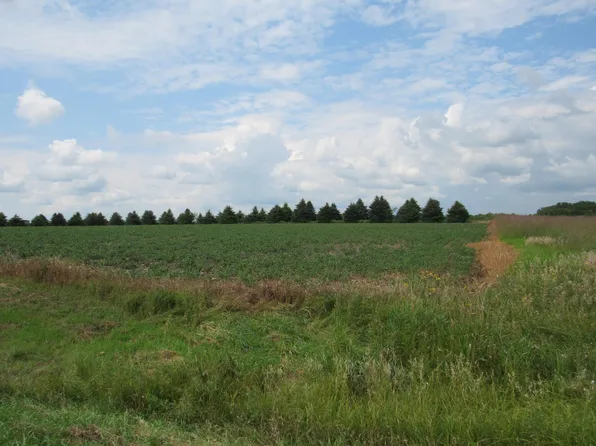 95th St, Blue Earth, MN 56013