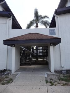 1254 E 113th Ave APT C110, Tampa, FL, 33612
