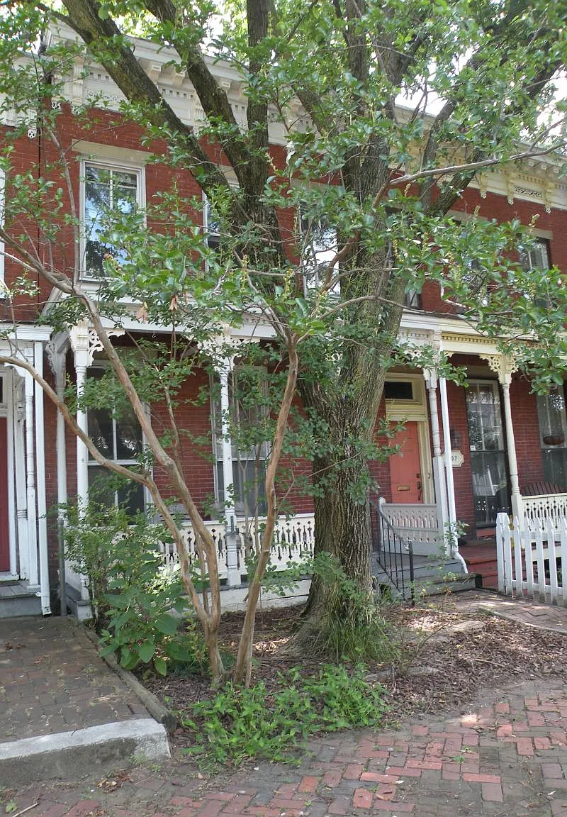 3 bed, 1500 sqft, $2,300 — Photo 2