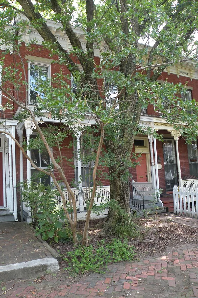 Building Photo - 105 S Pine St