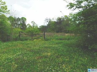 320 Walker Gap Rd, Springville, AL 35146