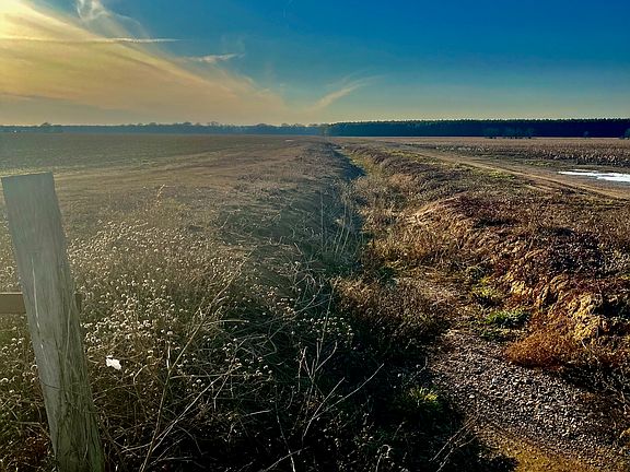 4th image of Countess Rd