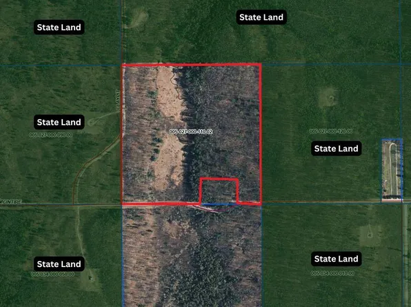 McIntire Rd, Comins, MI 48619