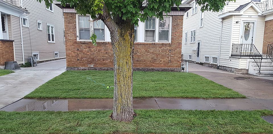 New sod installed 5/30/2017