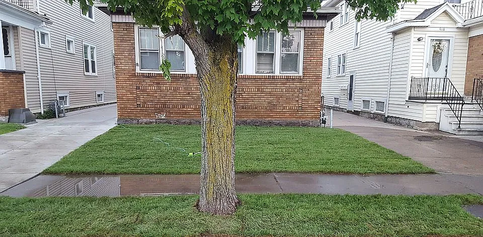 New sod installed 5/30/2017