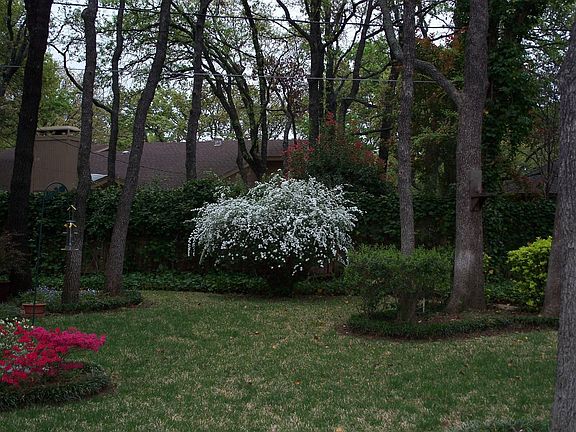 Backyard in Spring-R