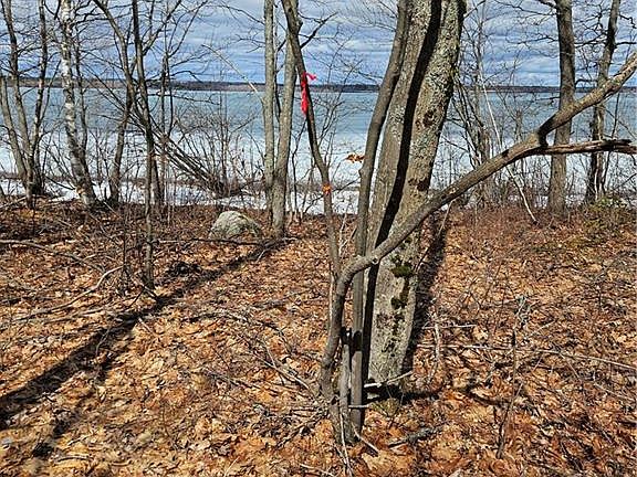 4th image of LOT Cox Point Rd