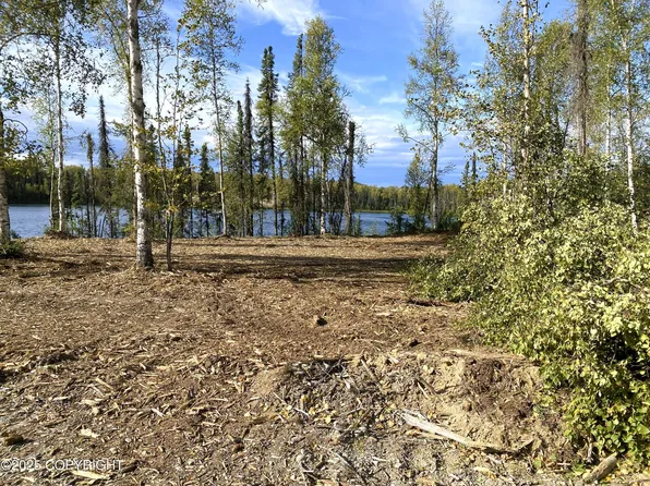 19531 E Good Land Dr, Willow, AK 99688