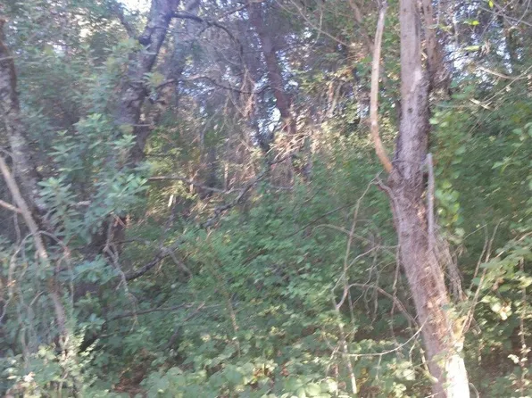 110 Gold Dust Trl, Sutter Creek, CA 95685