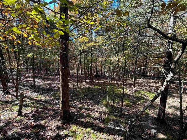 160 Valley Springs Ln, Yellville, AR 72687