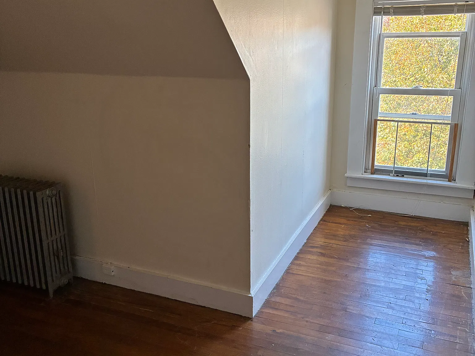 1 bed, 750 sqft, $1,250 — Photo 3