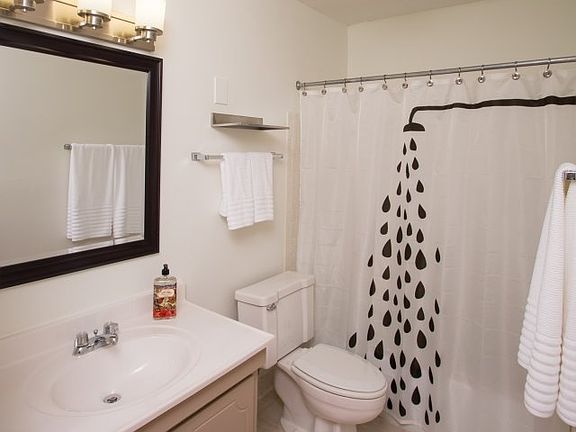 Squeaky Clean Bathroom