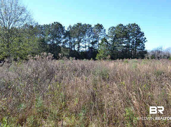 2nd image of 0 S County Road 95 S
