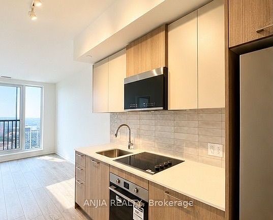 3rd image of 10 Oak St #2501