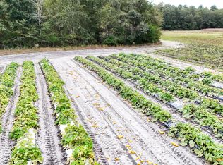 0 Chavis Rd, Blackville, SC 29817