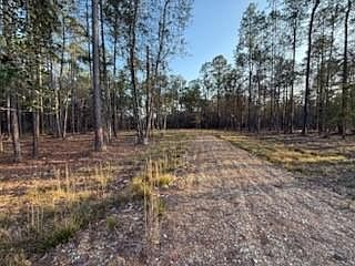 2nd image of 23523 Long Branch Dr