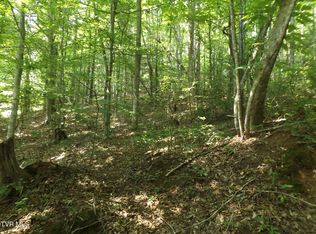 Rome Hollow Rd, Elizabethton, TN 37643