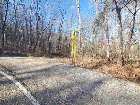 5th image of 0 Daus Mountain Rd