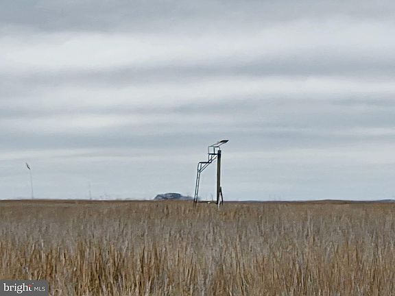 5th image of Duck Sika & Waterfowl Muskrat Hbr