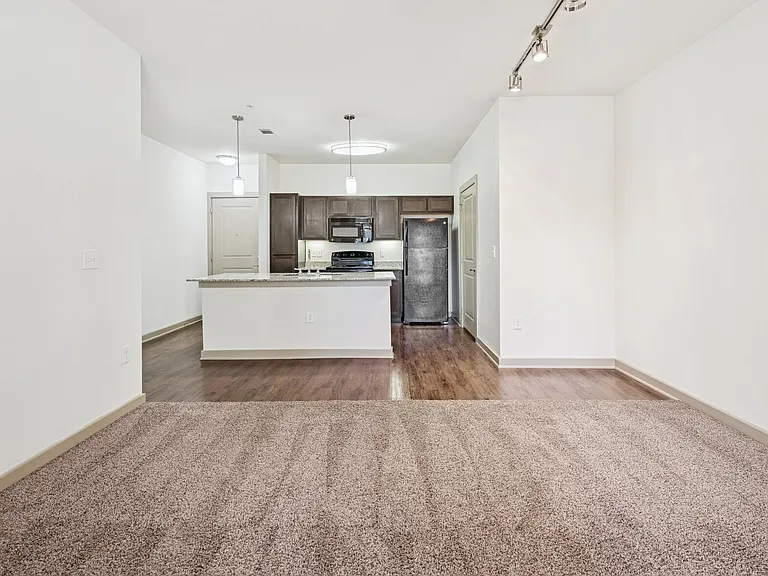 Carpeted Living Rooms