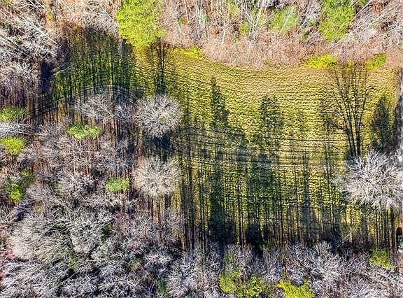 3rd image of Cattail Creek Ln