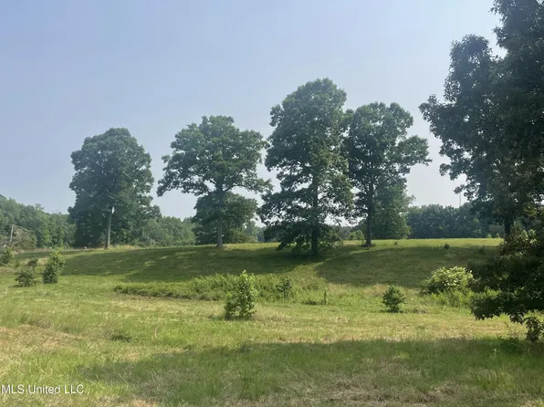 10 Mississippi Hl #4-E, Holly Springs, MS 38635