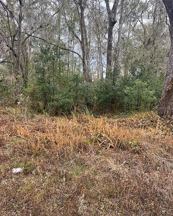 2nd image of 519 WARD AVENUE LOT 41