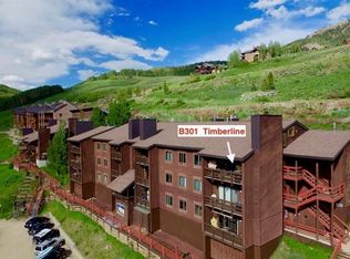 32 Hunter Hill Rd #B301, Crested Butte, CO 81225