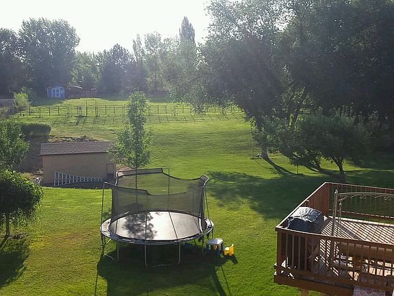 Back yard