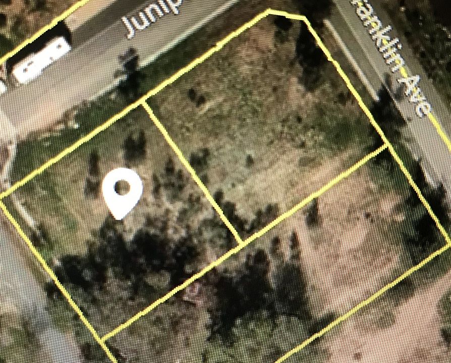 1st image of Juniper