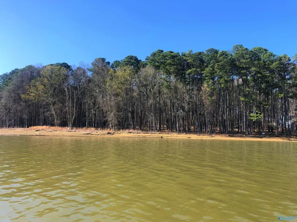 6 Little River Lndg, Cedar Bluff, AL 35959
