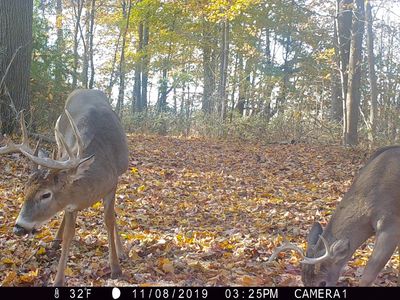 0 Pine Grove Rd SW, Amanda, OH, 43102