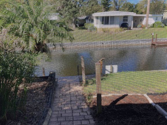 5th image of 109 S Lake Dr