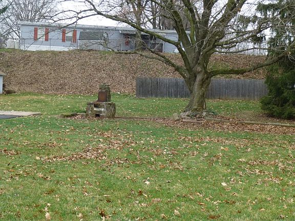 back yard