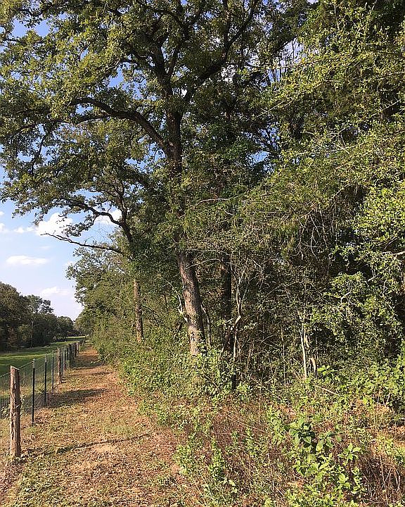 1st image of 2130 County Road 329
