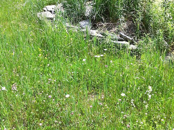 3rd image of 662 Wheat Hill Rd