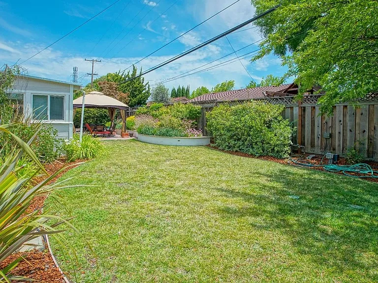 Back Yard 4